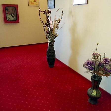 Hotel Pui De Urs Βουκουρέστι Εξωτερικό φωτογραφία