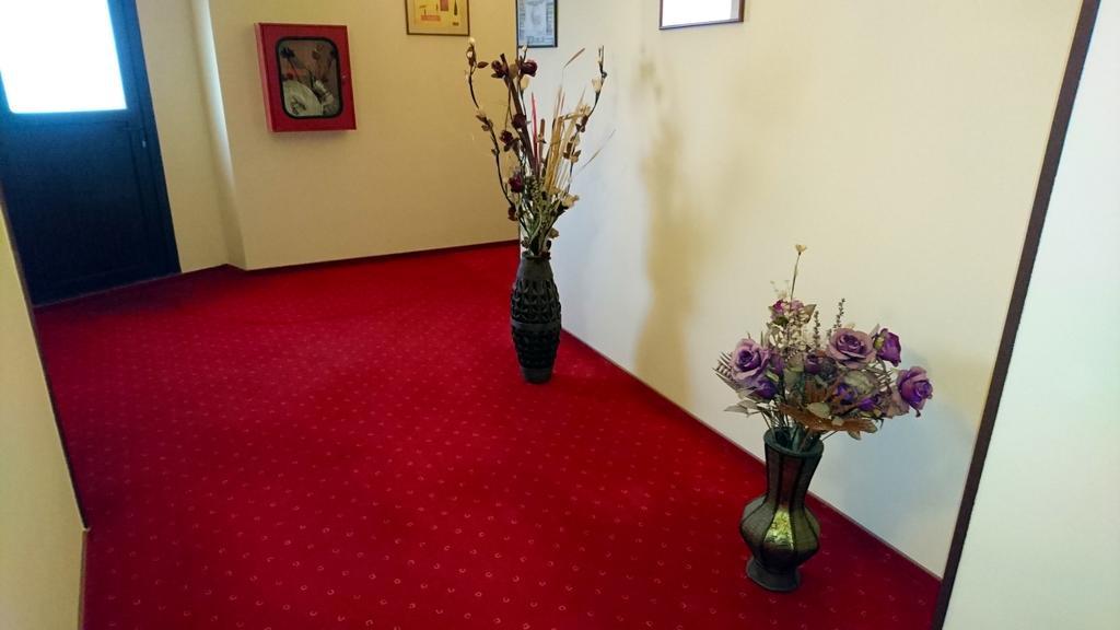 Hotel Pui De Urs Βουκουρέστι Εξωτερικό φωτογραφία